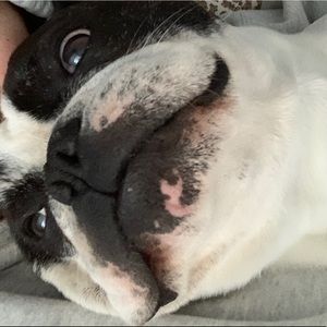 Meet your Posher, Lina